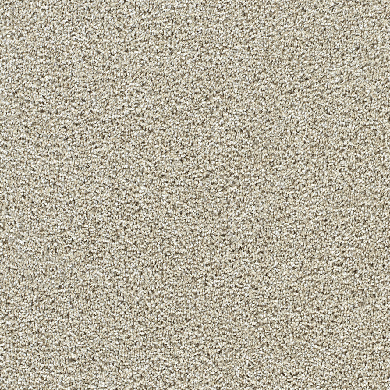 Fresh Start II - Wheat Grass