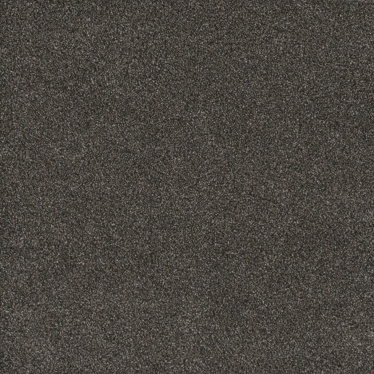 Pure Gold II - Galvanized