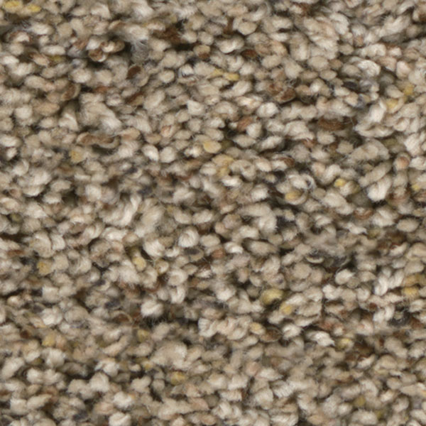 Bourbon Street III - Cadence