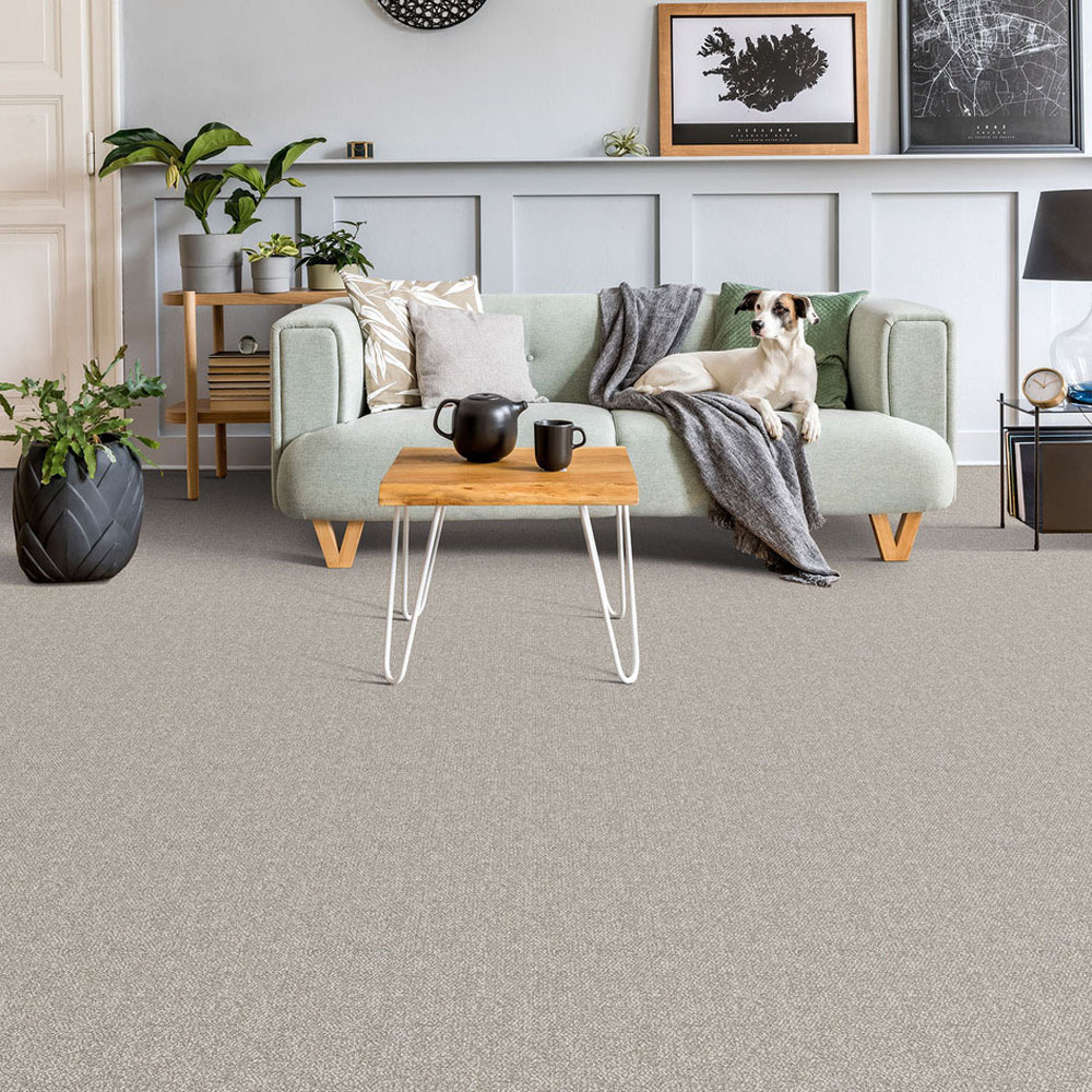 Ponderosa - Bleached Wheat