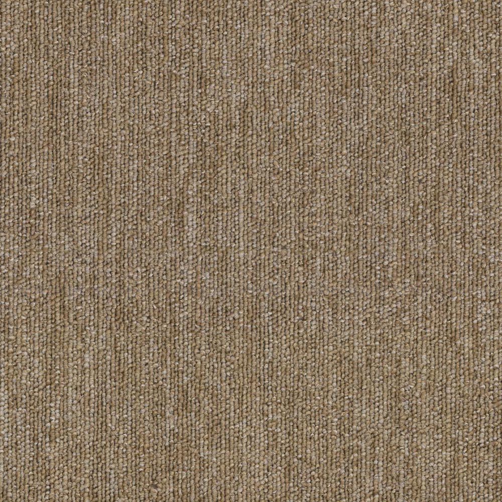 Performer 26 - Bundle