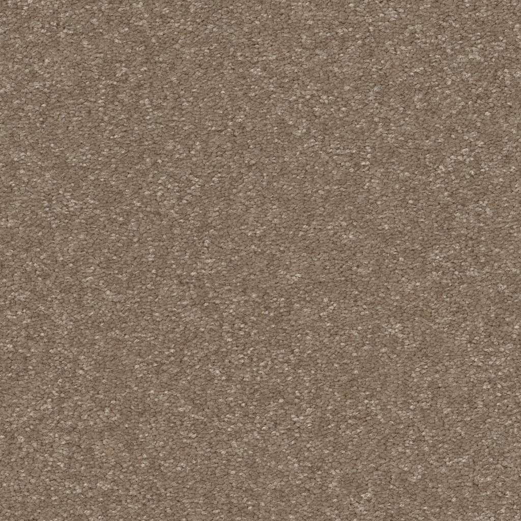 New Tradition II - Cameo