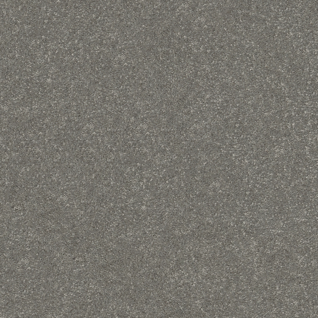 New Tradition II - Shy Sage