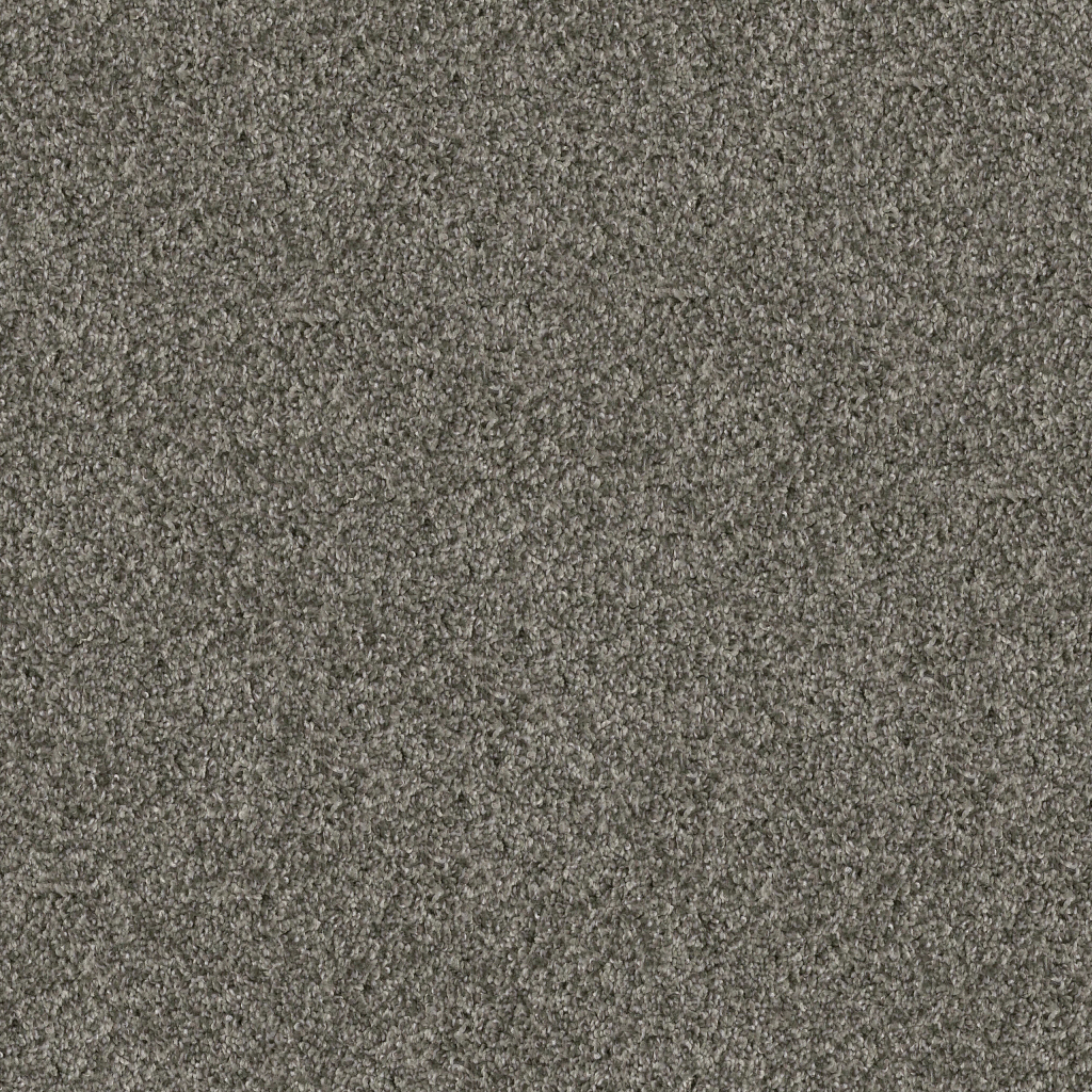 Serenade III 15' - Rerooted Nature