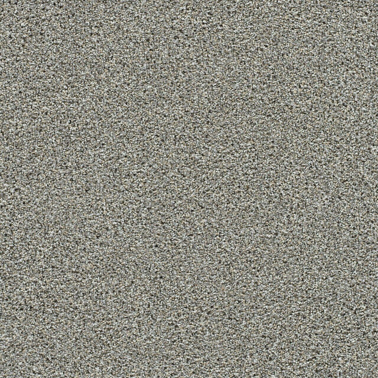 Artistic I - October Mist