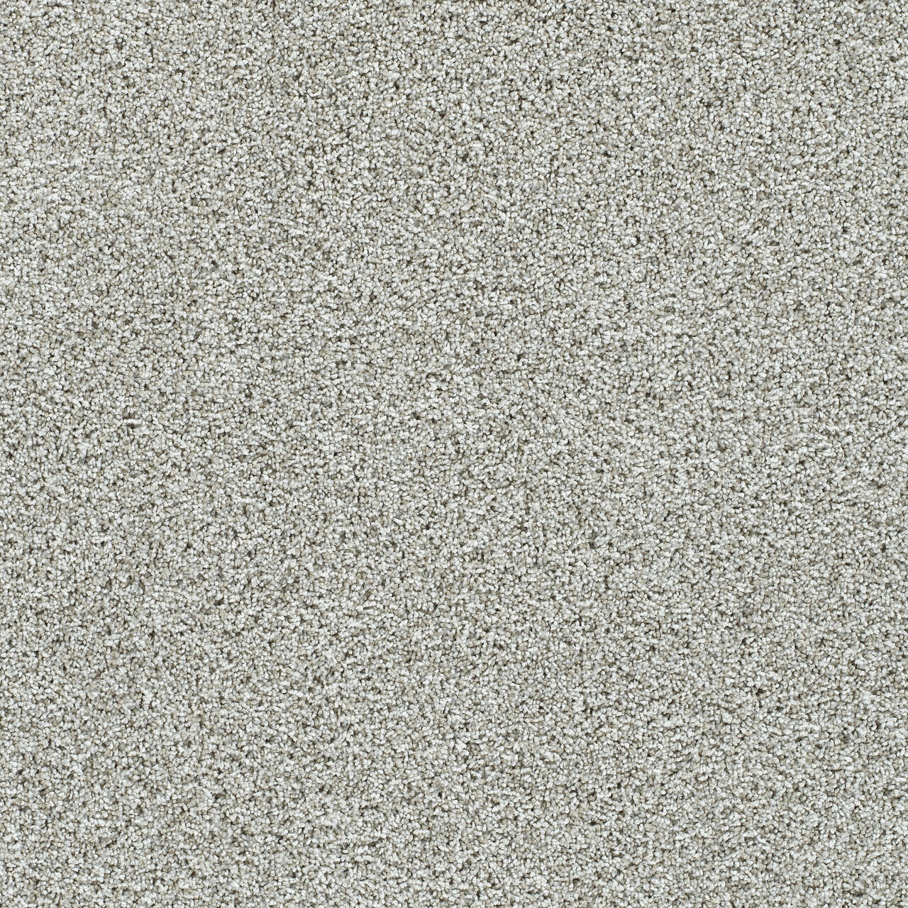 Artistic II - Cloudland