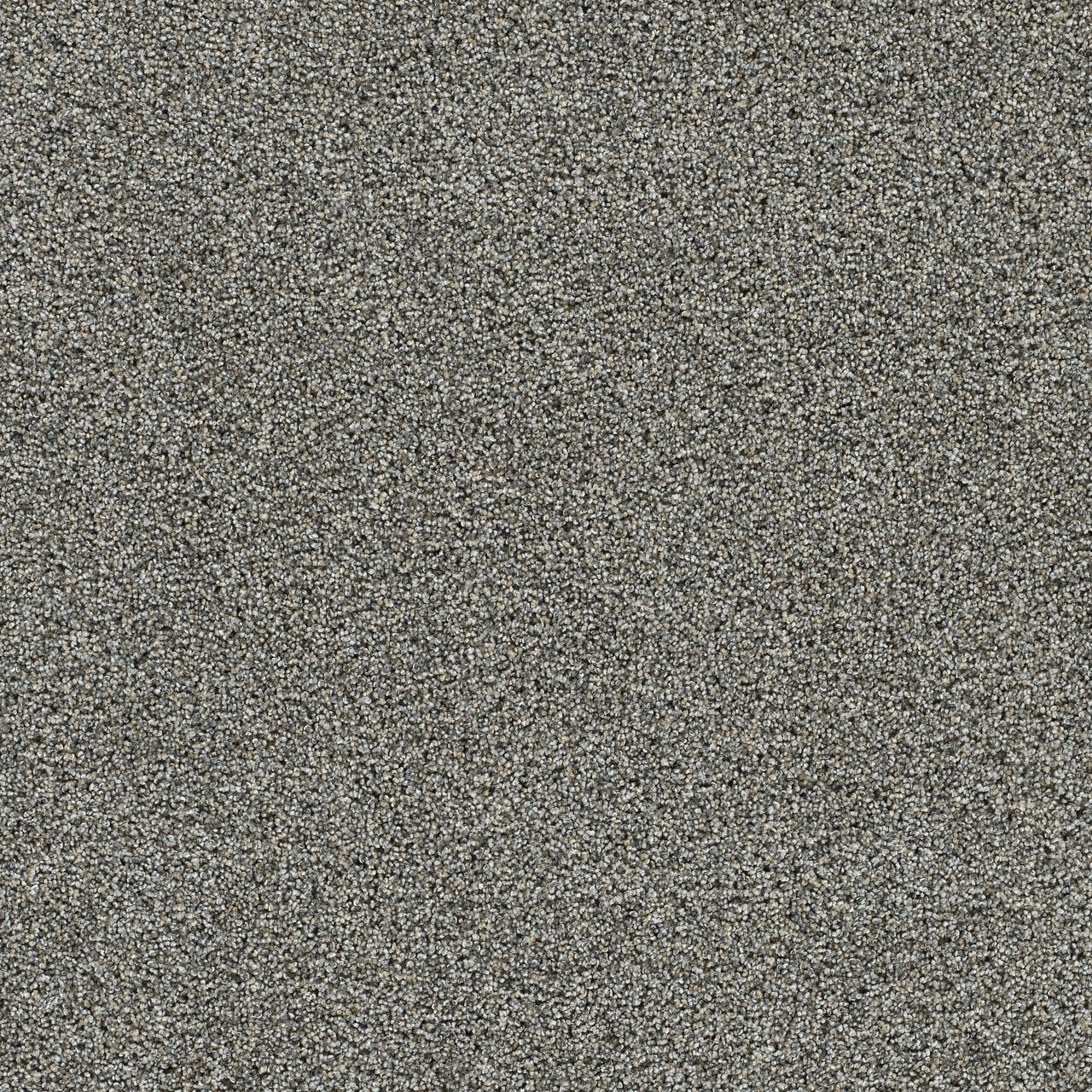 Artistic I - Elmridge