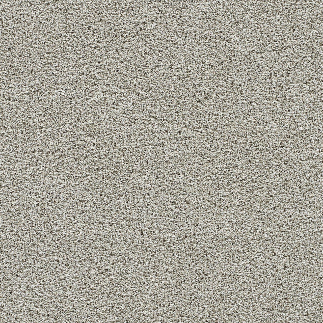 Artistic I - Fairview