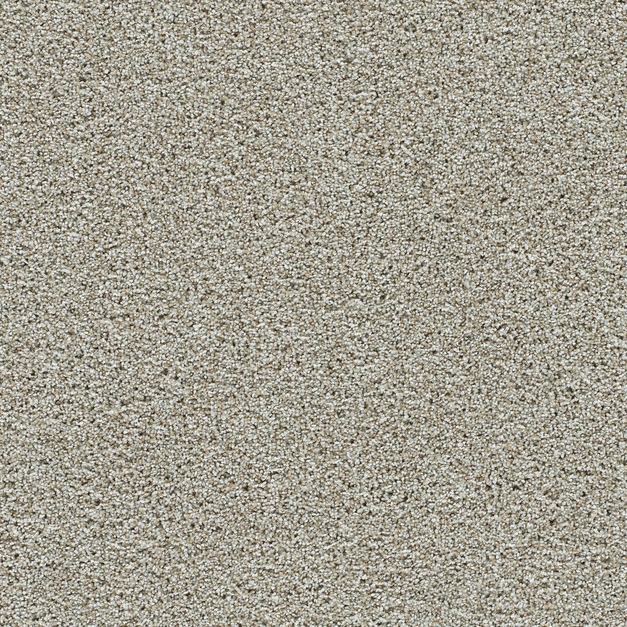 Artistic I - Orchard