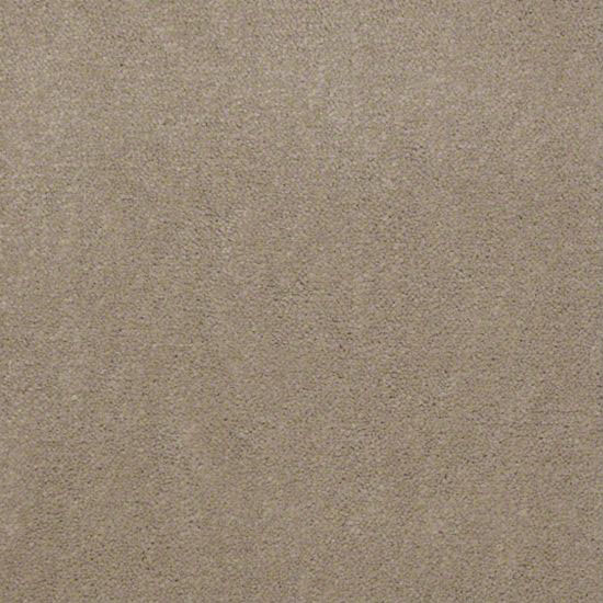 Alliance 36 - Sand Dollar