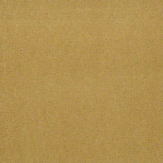 Alliance 30 - Tuscan Sun