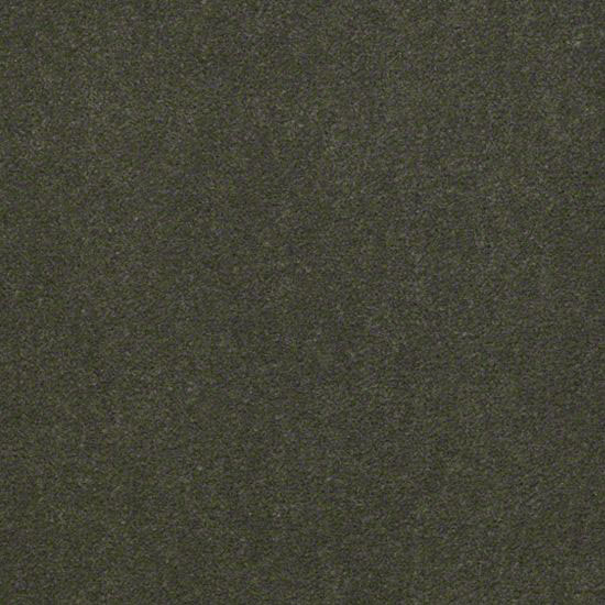 Alliance 30 - Palm Breeze