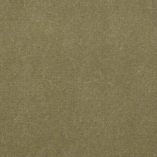 Alliance 30 - French Olive