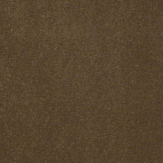 Alliance 36 - Oilve Twist