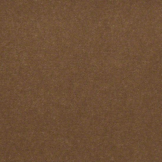 Alliance 36 - Amber Tan