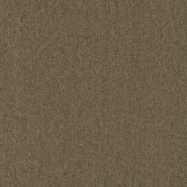 Enterprise 26 - Praline