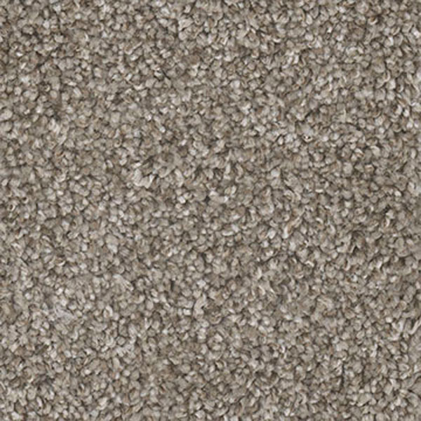 5th Avenue II - Cedar Way