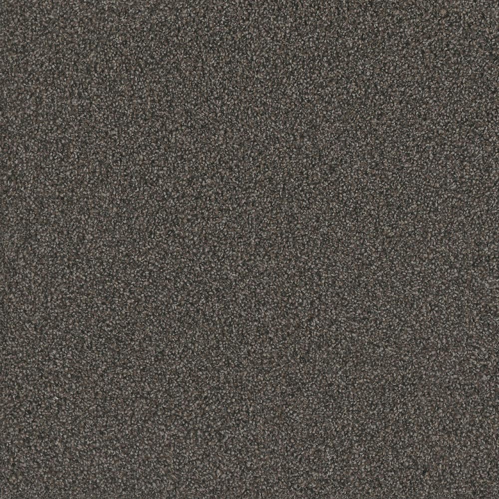 Fashion Flair III - Magnetic