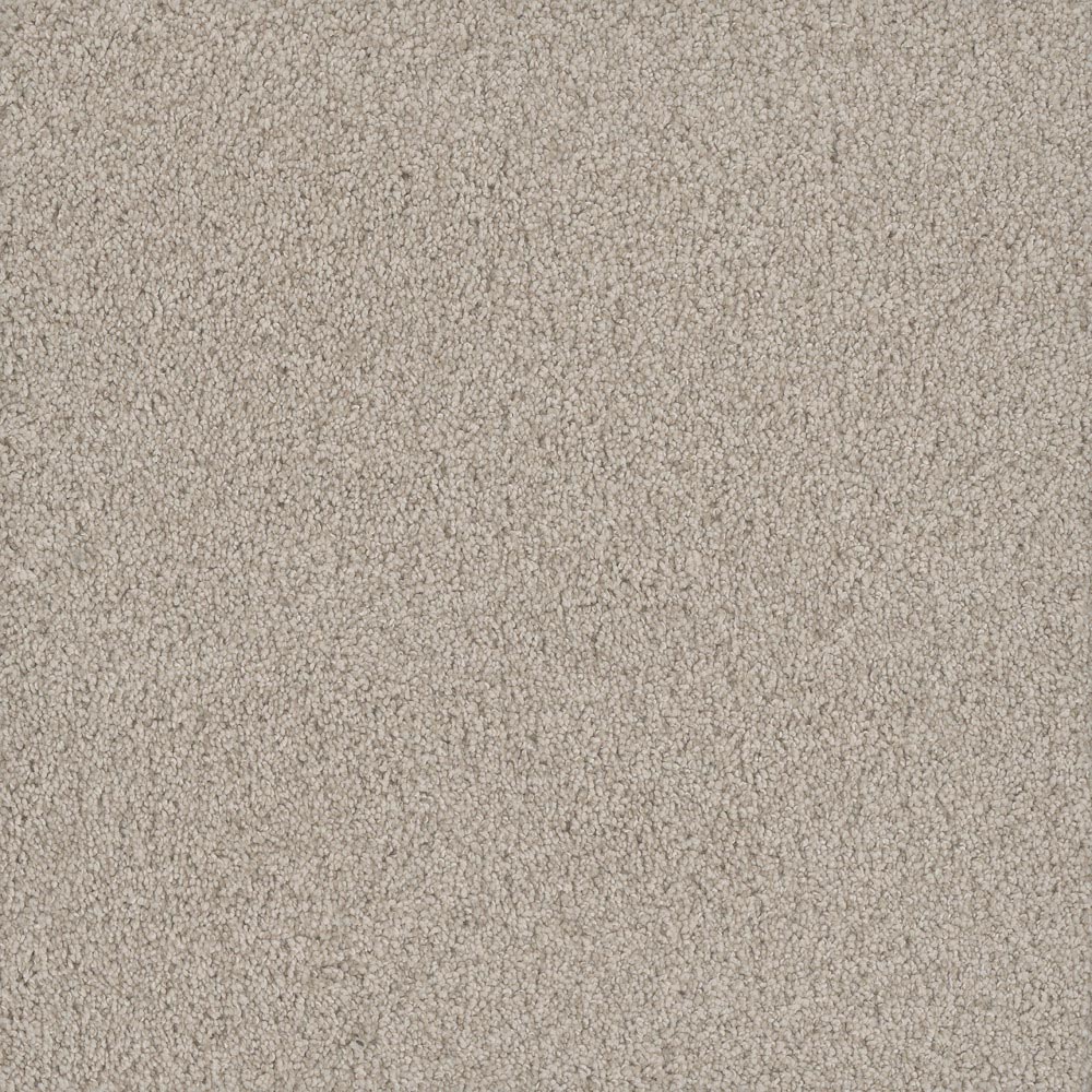 Fashion Flair I - Aspen Glow