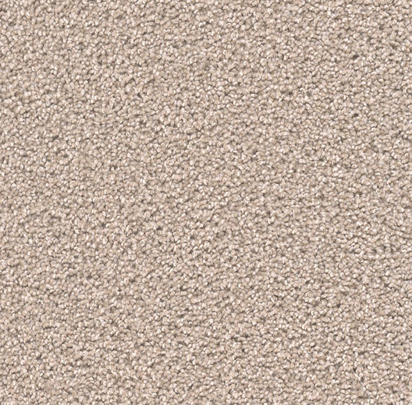 Blockbuster Plus - Cameo