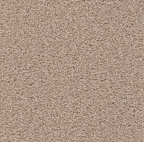 Blockbuster Plus - Hazelnut Cream