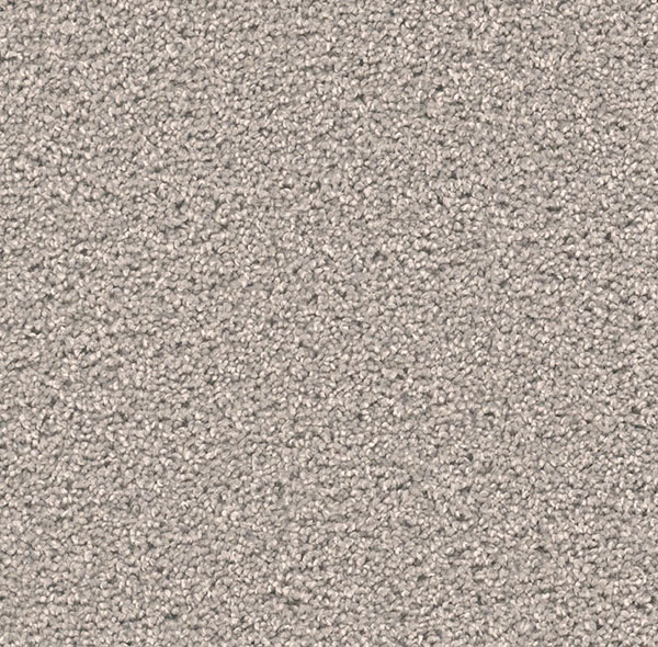 Blockbuster Plus - Silver Birch