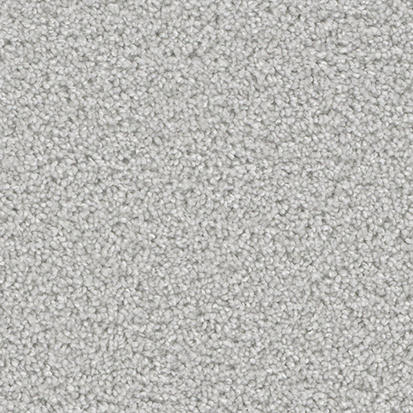 Blockbuster Plus - Morning Fog