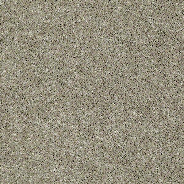 Star Lite I - Fossil