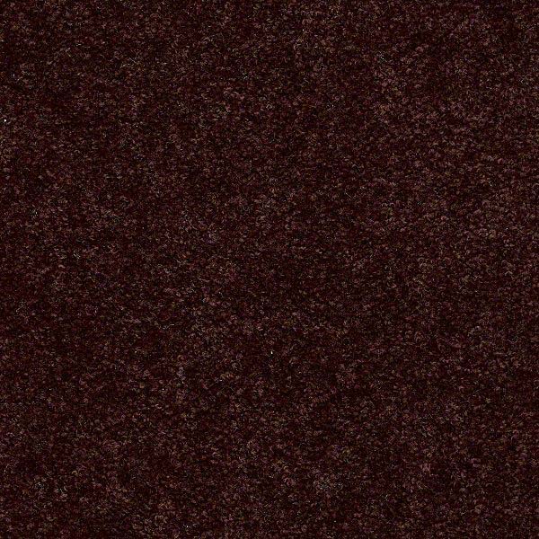 Star Lite I - Coffee