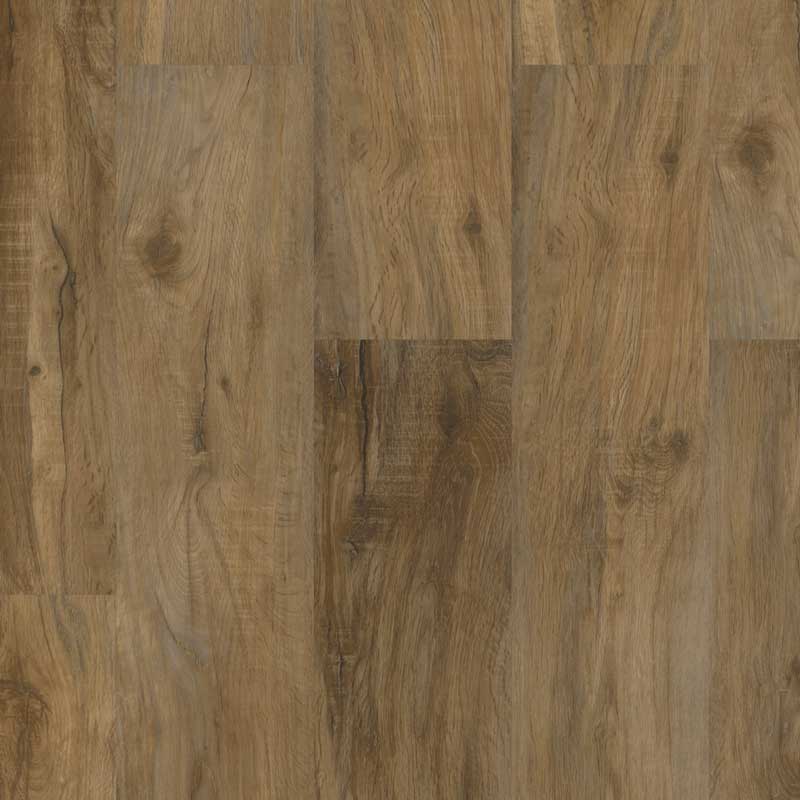 Hawk's Ridge - Live Oak