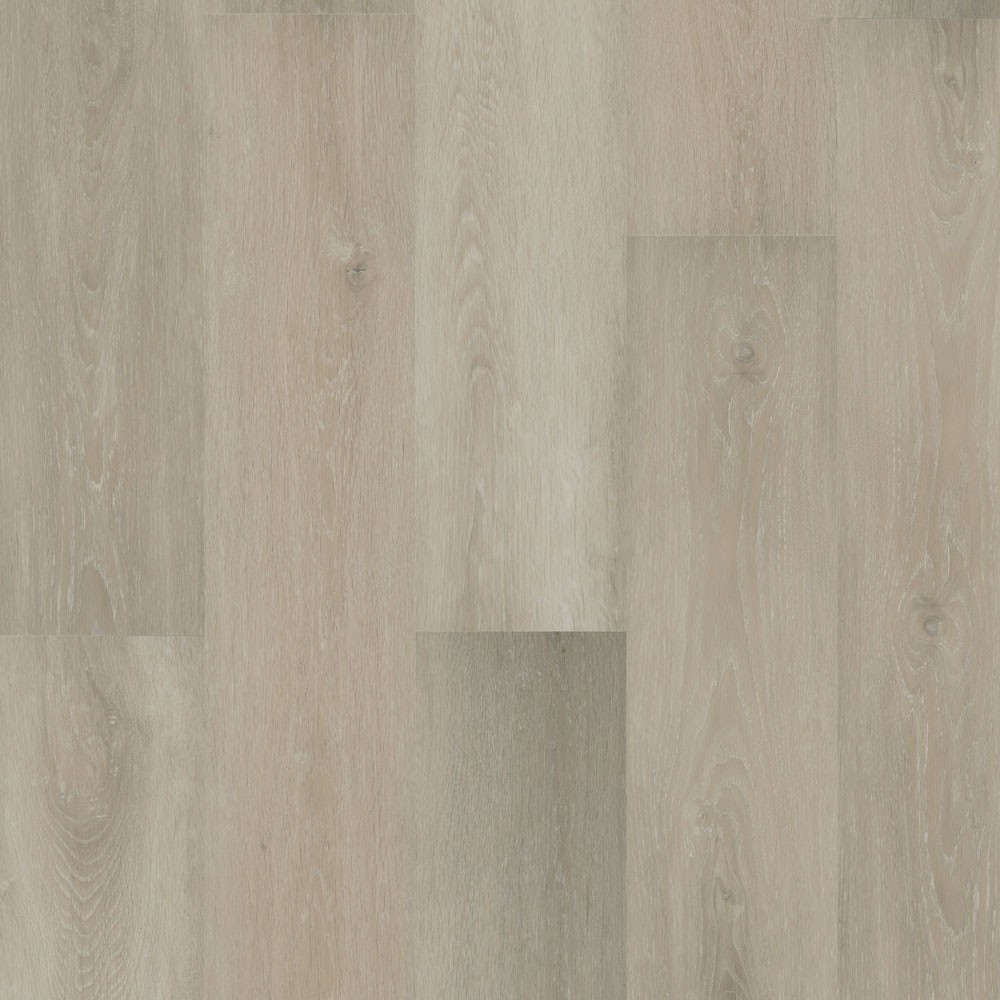 Osprey - Misty Shores