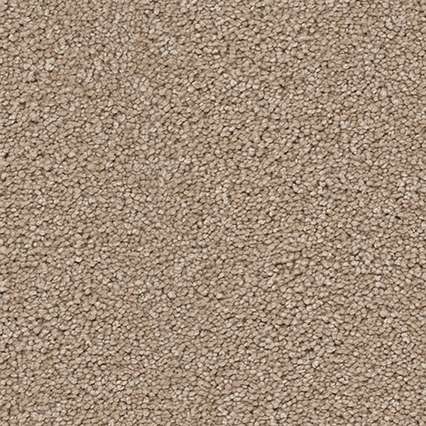 Pacific Heights III - Cashew