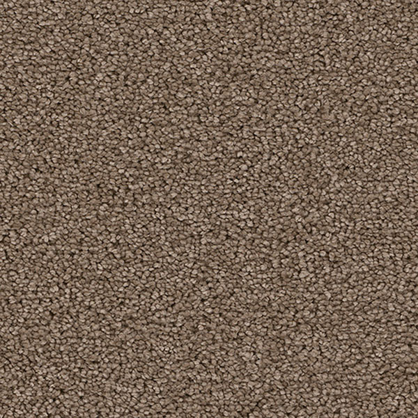 Pacific Heights II - Cocoa