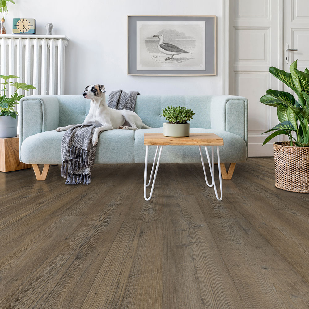 Hawk's Ridge - Catalina